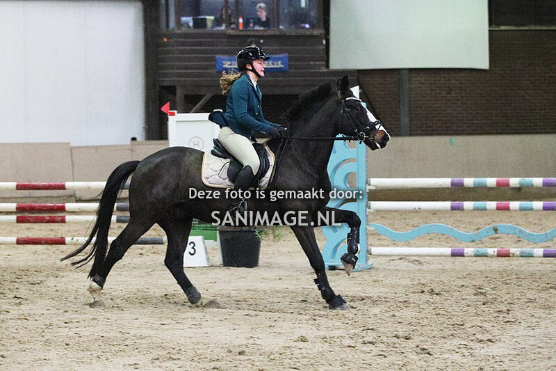 Zilfia's Hoeve Springen Pony's 10-12-2023 100 cm