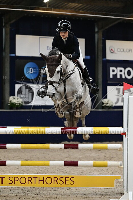 Laura Willemsz Geeroms - Pallasz Athena Mosa