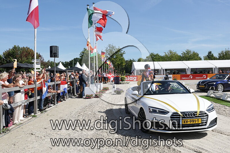 Grade III Individual