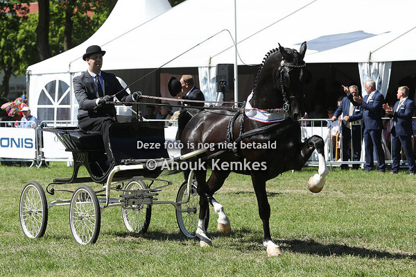 TP Competitie nieuwelingen
