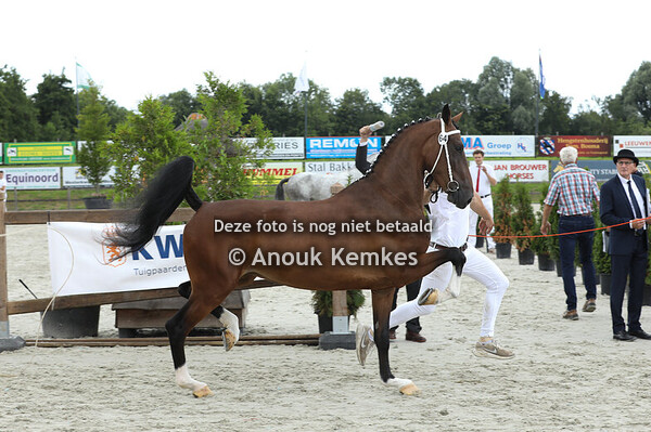 64 - Selvira van Toos ( Magnifiek x Larix )