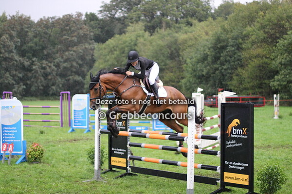 Dressuur & Springen -  Fotograaf P. de Jongh