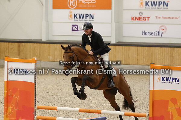 6 Sky Fall (Chacco Blue x Diamant de Semilly)