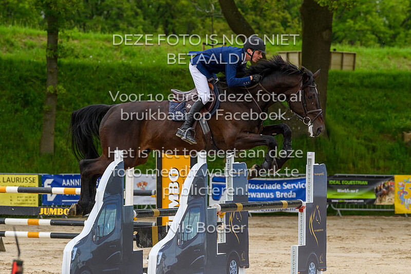 7 Jonge Paarden Springen 5 jarige 105cm