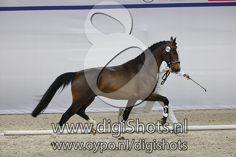 Oskar v. High Five US