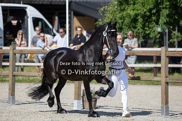 34. Tjalda van de Demro Stables