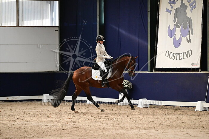 Kelly Outhuijse - Racoon