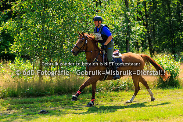Military Genk Niveau 2 Paard en Pony 20-07-24