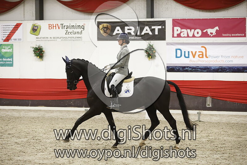 No Nonsense vd Wolfshoeve