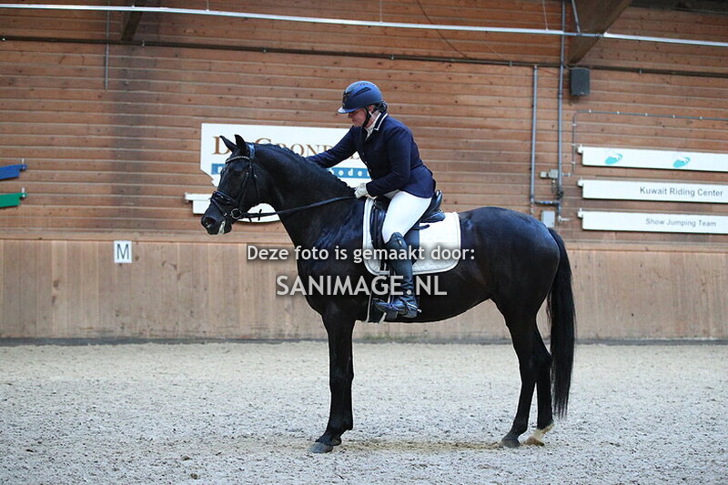  PV Midland dressuur 2025-11-22 14.45 uur