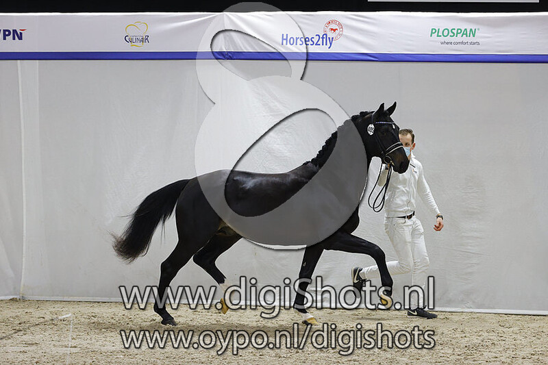 New Market v. Foundation