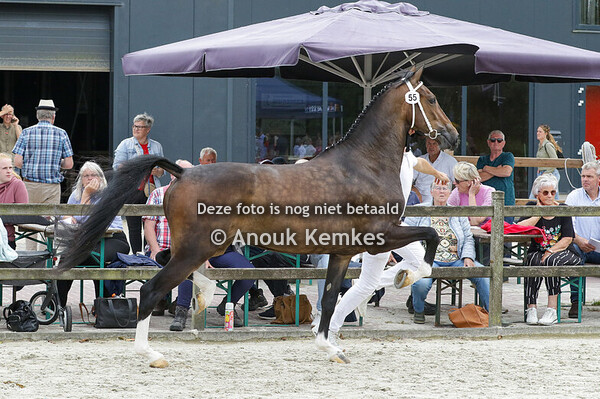 055 - ROLINE S FANTIJN X EEBERT J.L. SMINK, STEENBERGEN