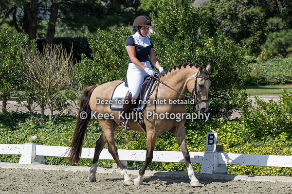 Dressuur Manege Bakker 20240811