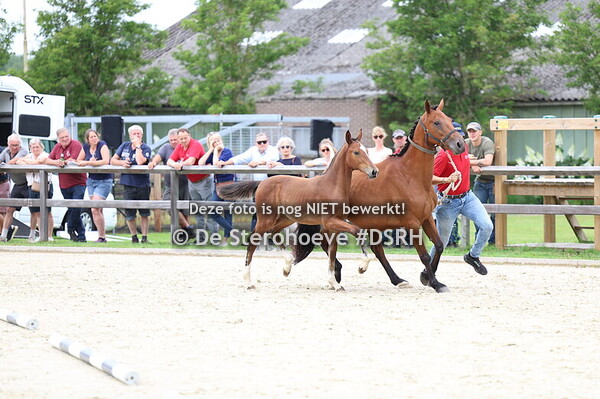 BWP Fokkerijdag Geel 27 juli 2024