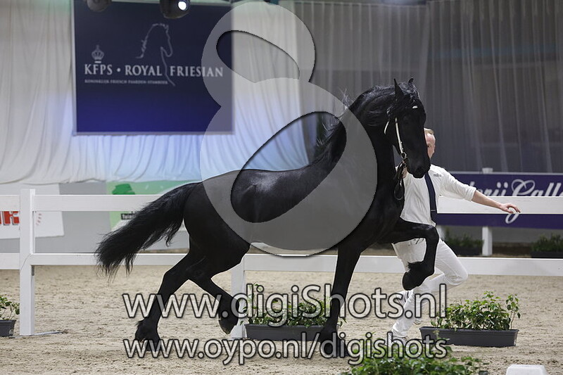 Joarryt VW v. Jehannes 484