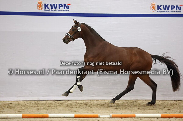 12-12-25 HK 1e bez Dressuur Dag 4