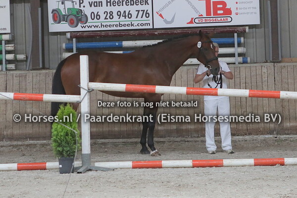 137 Jewel (Bordeaux x Radula v. Inspecteur)