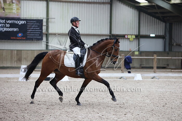 Tosca Ruppert - Lyastrade