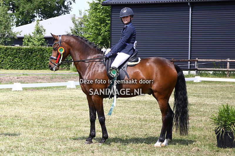 NWPCS Mega Welsh Event Wezep 04-06-2022 Ring 1 