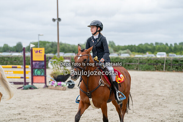 NH Regionals 90cm ponys klassiek