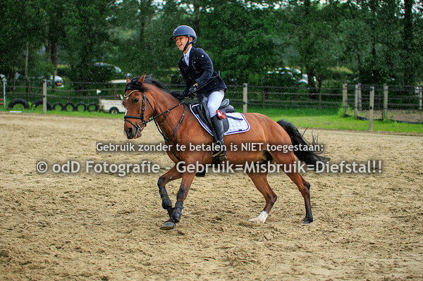CH Manege Sintels Pony 90 cde 19-05-24