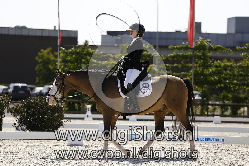 Schierensees Midnight Blue