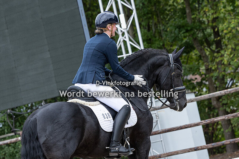 Merel van Merkensteijn - Yzer van Merkensteijn