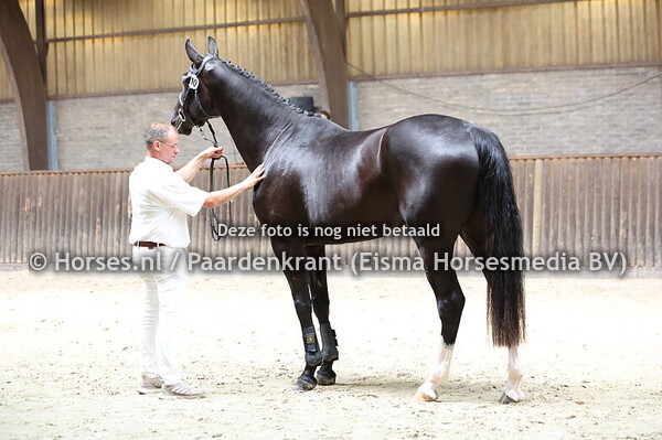 10 Sherita (Orak D Hamwyck x Fantartica v. Indoctro)