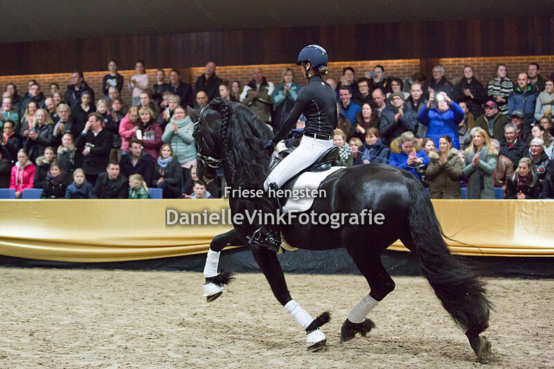 Limited Edition - Hengstenshow Lunteren 24-02-2018