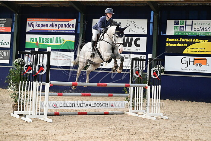 Jessy Tewis - Colorus van de Zeijenweg Z
