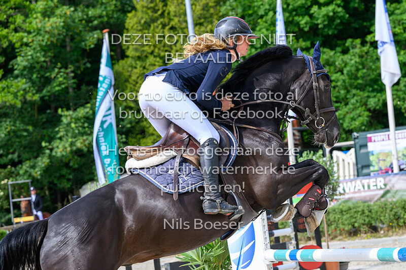 14 Klassiek paarden 1.10 m MB-ZB