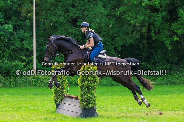 St Tunnis Hippisch Event Groep 3 10.30 31-05-25