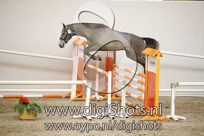 097 Liever P v. Emir R