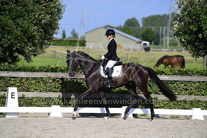 Bo van Nimwegen - Patek Philippe