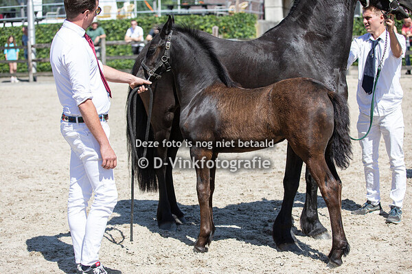 29. Anneliz van het Binnenveld
