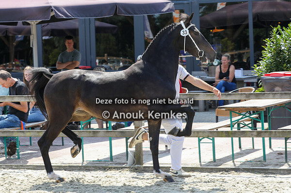 Rosalie-T ( Icellie x Cizandro )