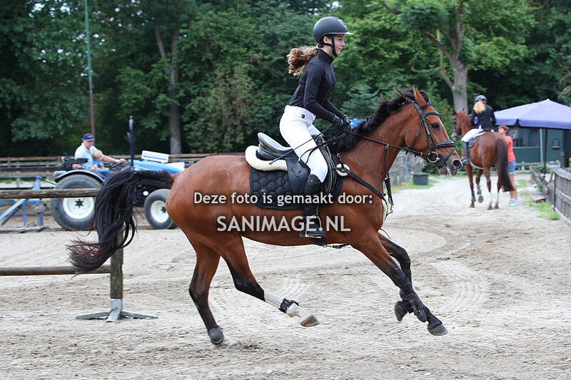 PV Midland Zomerconcours 02-07-2023 Pony's 90/100 cm