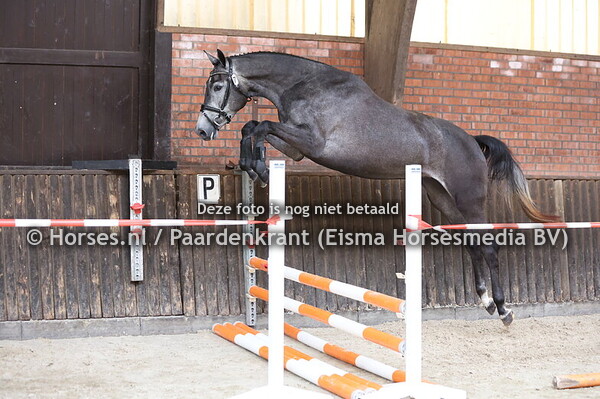 7 Showbizz Passion (Chacoon Blue x Della Passion) (1)