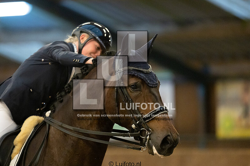 Regio dressuur paarden