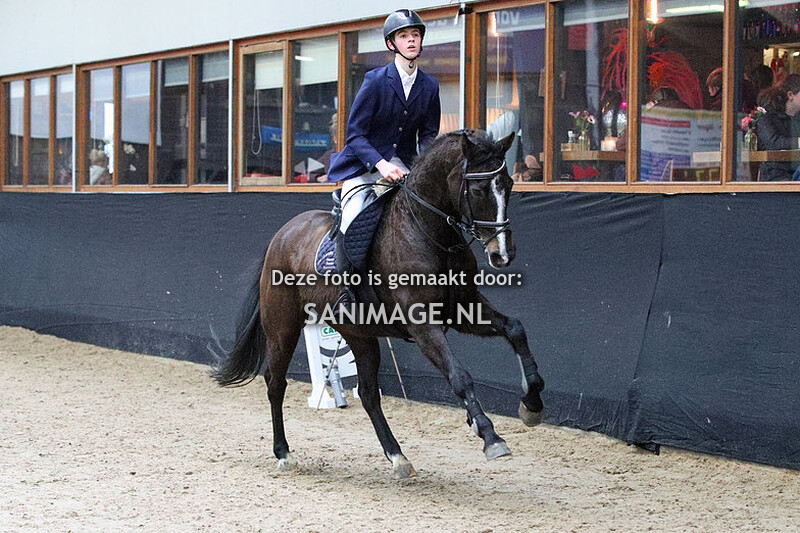 Zilfia's Hoeve Springen pony's 04-02-2024 70 cm Cat.CDE