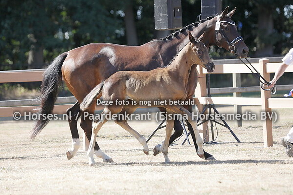 70 S (Nirvano x Kate v. El Capone)