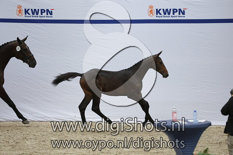 Vanita v. Cote d Or Z