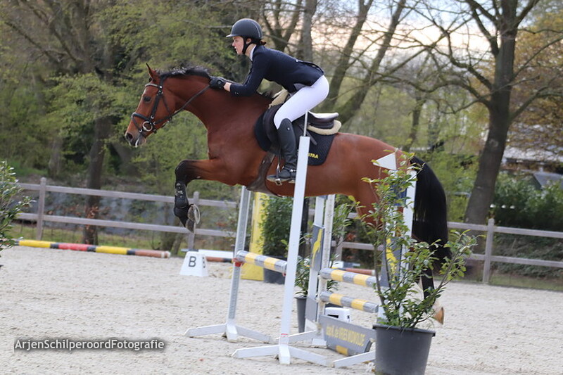 Tolbert 11-04-2019 Paarden BB