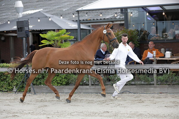 98 Cita (United x Inzenita v. Variant)