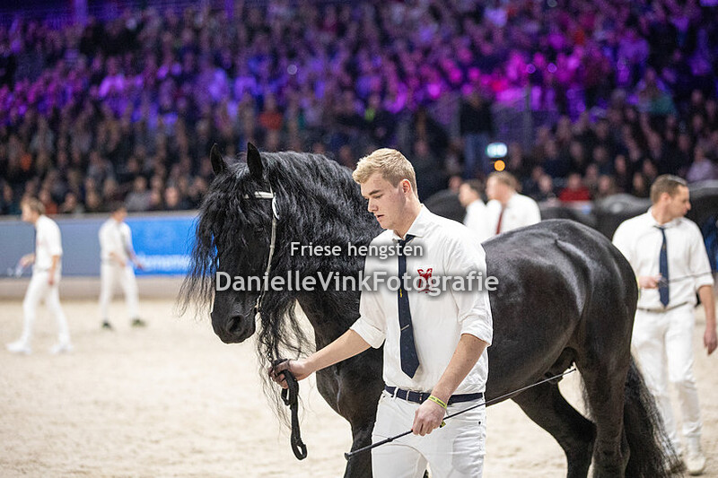 Hengstenkeuring 2024 Meinte 490