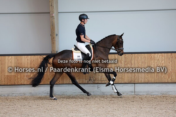 35 Rinola JL (Mac Madison x Dream Boy)