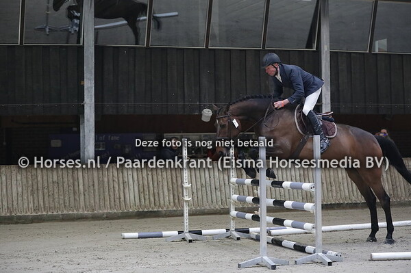 1 Jally (Nabab de Reve x Wally II v. Cassini I)