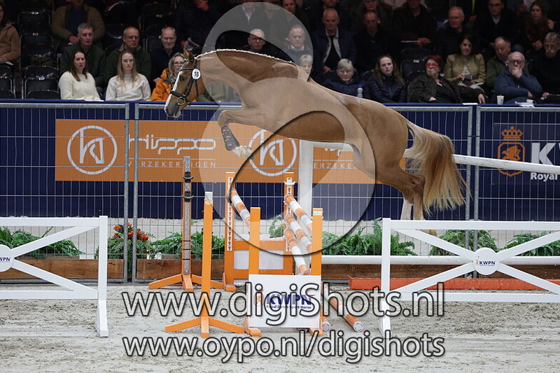 Take Off vd Laarse Heide