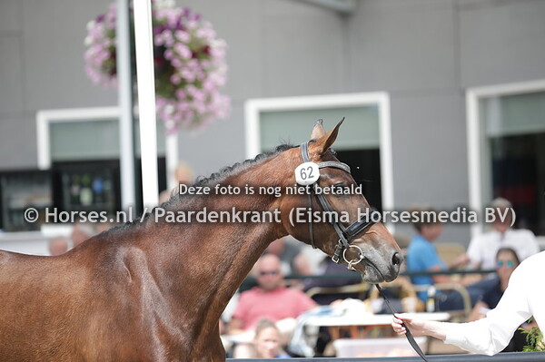 62 Oppertunity Trikar (Revolution x Zonnefony v. Rousseau)