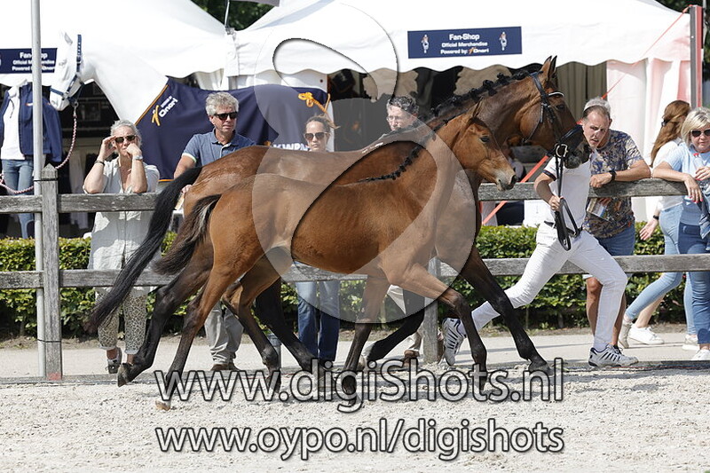 Tinkerbell Tess da Mora v. Extreme US